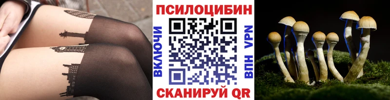 Псилоцибиновые грибы Psilocybine cubensis  Моздок 